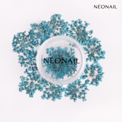 Decorazione Floreale per Unghie 05 Turquoise